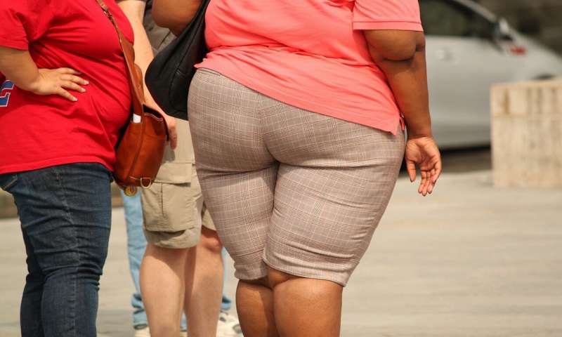 Credit: CC0 Public Domain obesity