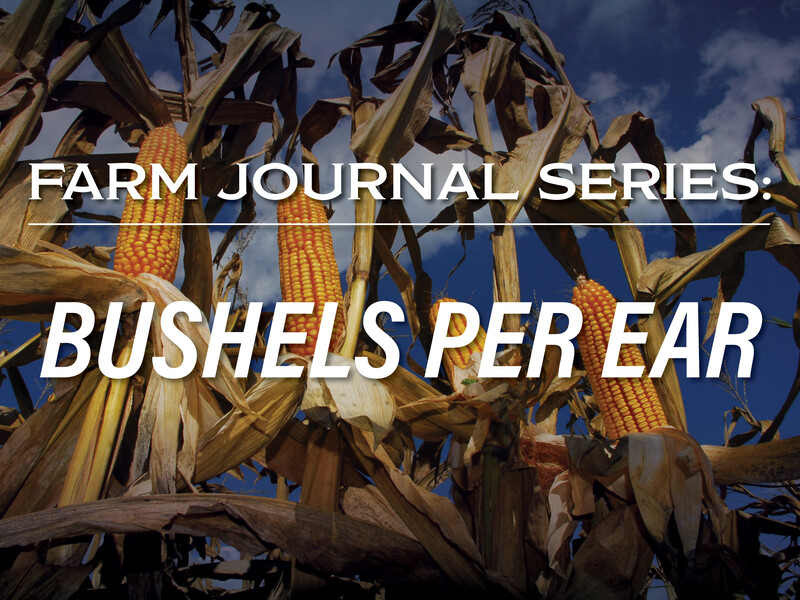 Farm Journal Series: Bushels Per Ear Farm Journal Series: Bushels Per Ear