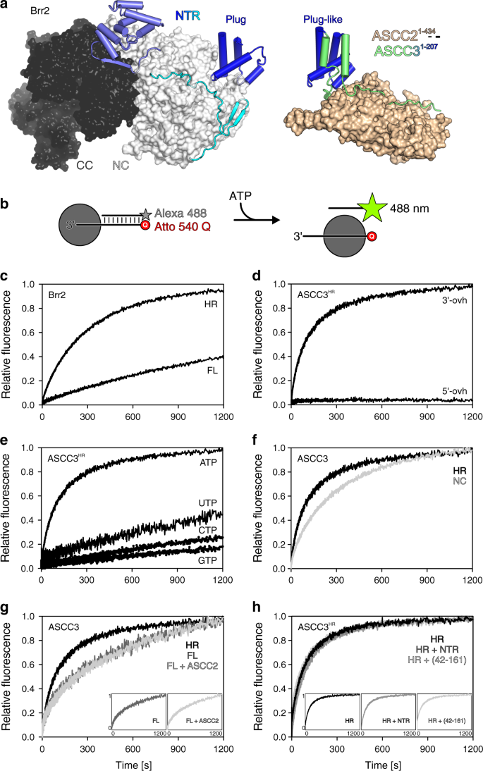 figure5