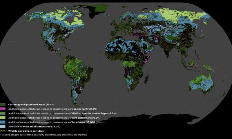 Areas of the terrestrial realm where increased conservation action is needed to protect biodiversity and store carbon. Numbers in parentheses show the percentage of total land area of Earth contributed by each set of layers. Unprotected habitats drawn from the 11 biodiversity data layers underpinning the Global Safety Net augment the current 15.1% protected with an additional 30.6% required to safeguard biodiversity. Additional CSAs add a further 4.7% of the terrestrial realm. Also shown are the wildlife and climate corridors to connect intact habitats (yellow lines). Data are available for interactive viewing at www.globalsafetynet.app . Credit: <i>Science Advances</i> (2020). DOI: 10.1126/sciadv.abb2824 Global Safety Net maps land areas that need to be protected to safeguard biodiversity and stem carbon emissions