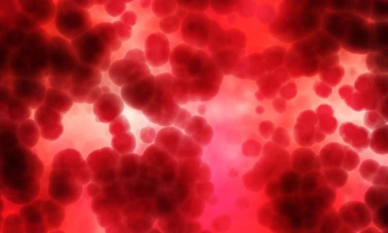 blood plasma