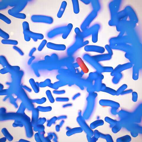 Credit: Queensland University of Technology Like investors, bacteria, viruses and cancer cells hedge their bets