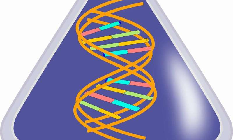 Credit: CC0 Public Domain RNA