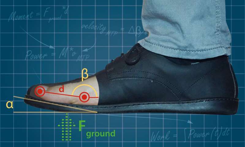 Graphic of a toe spring. Credit: Freddy Sichting Curve at tip of shoes eases movement but may lead to weaker muscles, problems