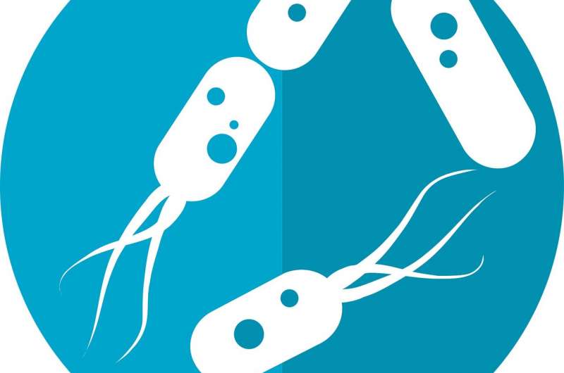Credit: CC0 Public Domain microbiome