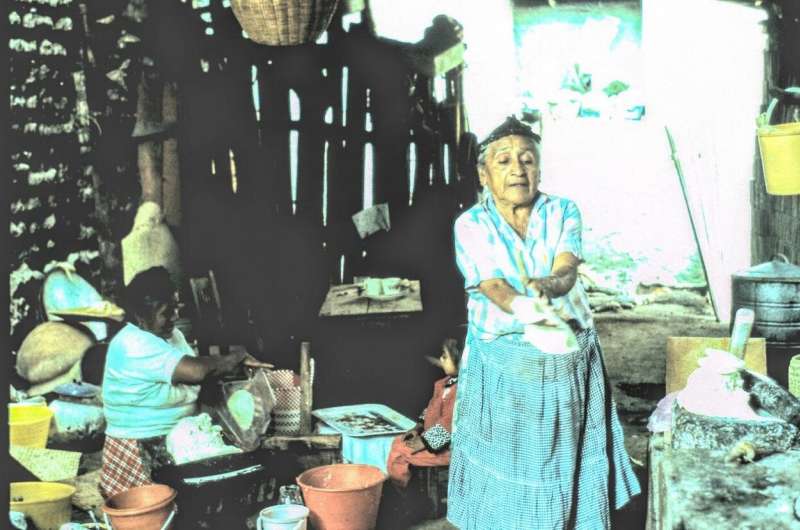 A Zapotec woman making tamales using locally grown maiz, or corn. Credit: Jeffrey Cohen Grasshoppers and roadblocks: Coping with COVID-19 in rural Mexico