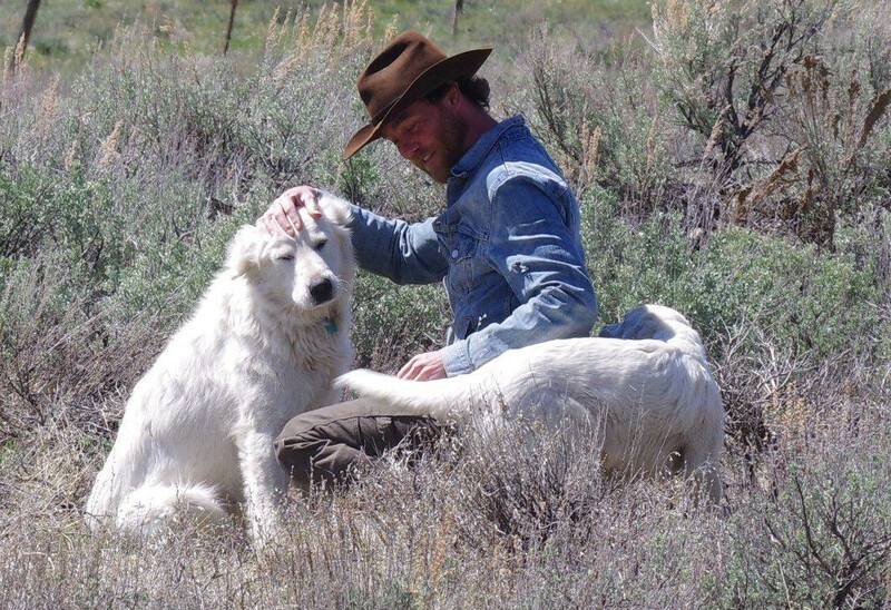 cory_peavey_rancher_steve_stuebner_credit.jpg cory_peavey_rancher_steve_stuebner_credit.jpg
