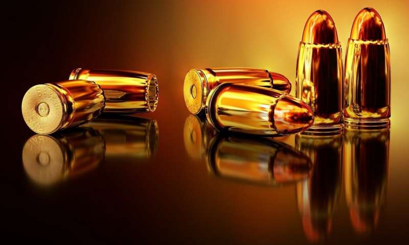 Credit: Pixabay/CC0 Public Domain gun
