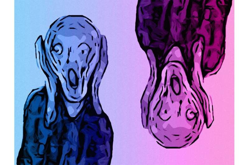 A facial expression can say a lot about a person's emotional state. Credit: MPI for Empirical Aesthetics Understanding feelings: When less is more