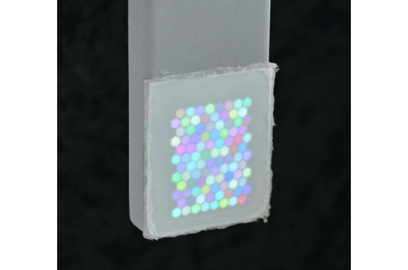 The UQ-developed ultraviolet 'television' display is only 8 by 12 pixels in a 4 by 5 centimeter area--so don't expect to be watching Netflix in ultraviolet anytime soon. Credit: The University of Queensland Ultraviolet 'television' for animals helps us better understand them