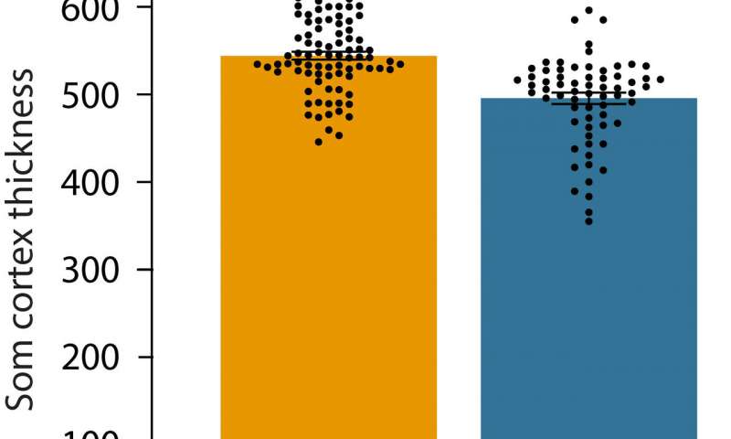 Somatosensory cortex is thicker in summer than in winter (n=10 shrews). Error bars 5 are mean ± SEM. Credit: Miao Li How the shrew brain adapts to winter