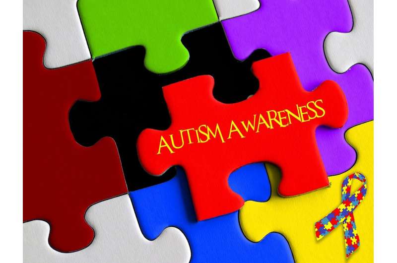 Credit: Pixabay/CC0 Public Domain autism