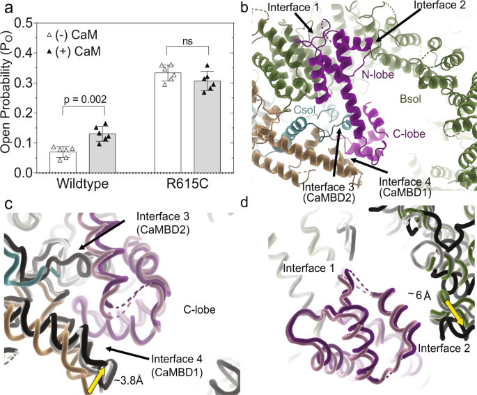 figure4