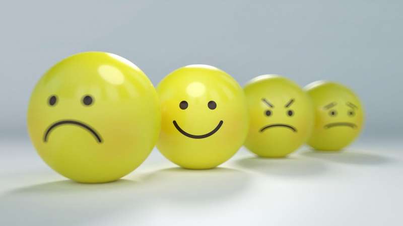 Credit: Pixabay/CC0 Public Domain emotion