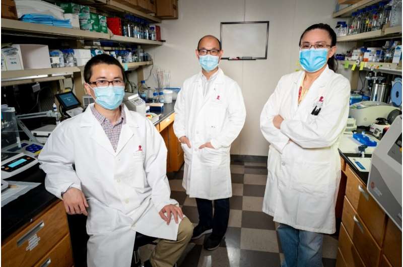 From left: Hanwen Zhu, Ph.D.; Ji Sun, Ph.D.; and Patricia Hixson, Ph.D., all of St. Jude Structural Biology, have determined the detailed structure of an enzyme whose mutated forms are known to cause Parkinson’s disease. Credit: St. Jude Children's Research Hospital Structure of enzyme that causes Parkinson’s promises pathways to new drugs