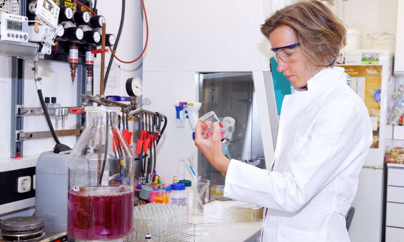 Kiel University’s Professor Ruth Schmitz-Streit together with international colleagues presented an inventory of the role of archaea in host-microbe interactions. Credit: Stefan Kolbe What role do archaea play in the human microbiome?