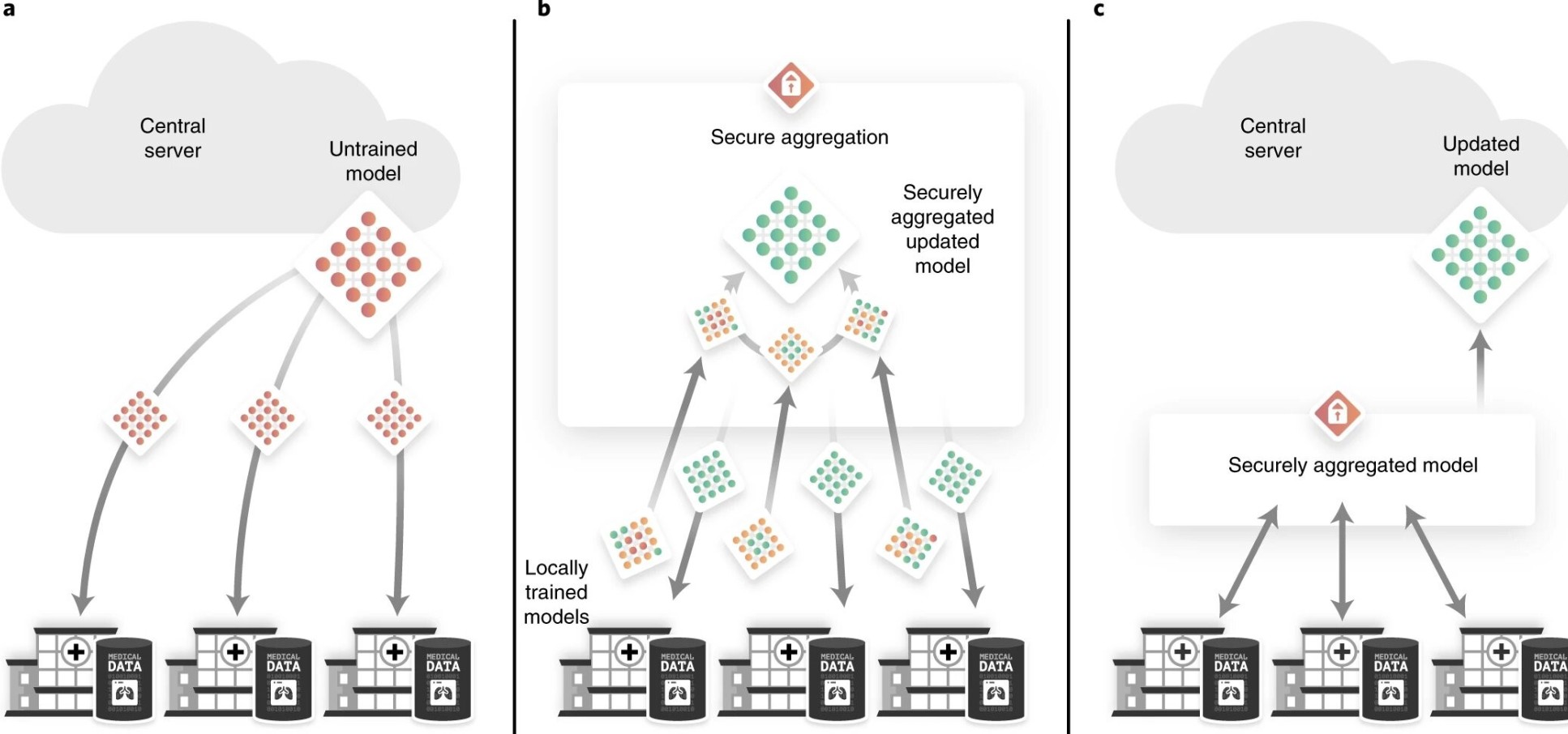 Diagram showing an overview of the main privacy-preserving techniques: Sharing only algorithms and not patient data among clinics and secure aggregation.