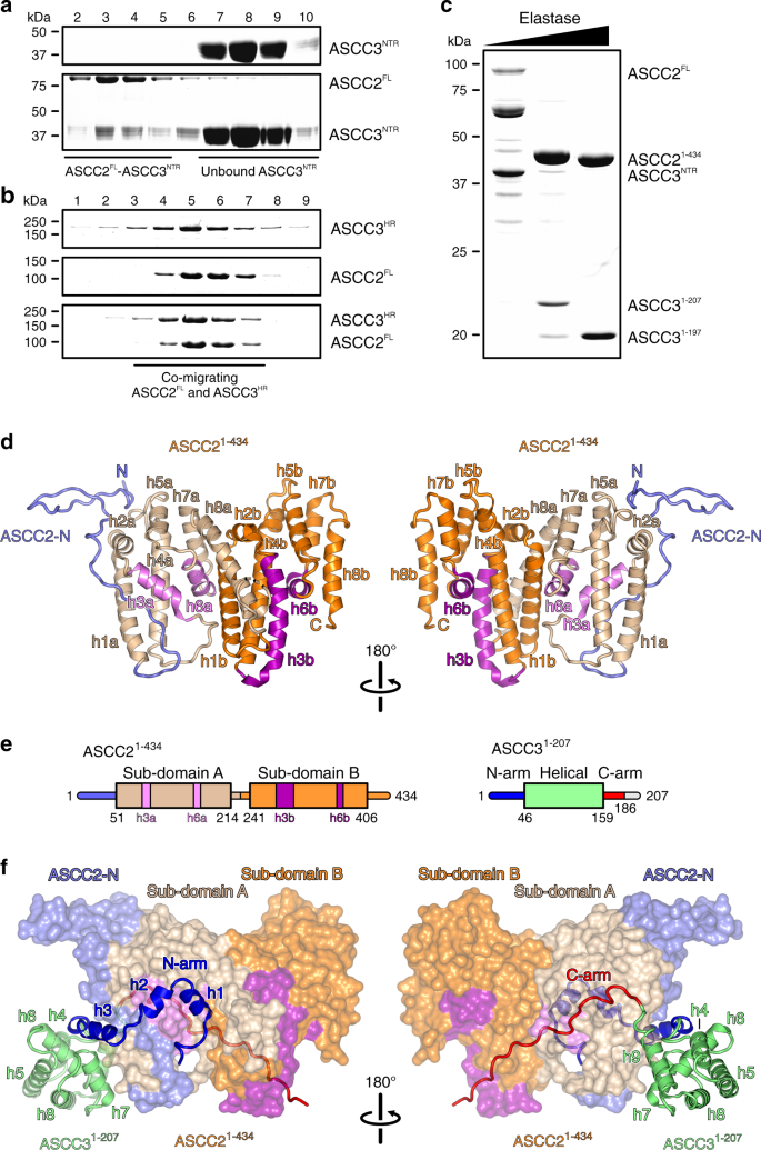 figure1