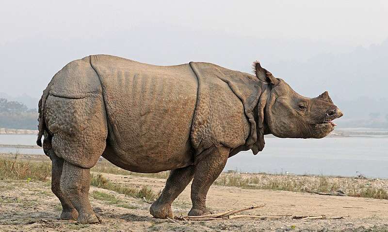 Credit: Sharp Photography Protected areas can “double” imperilled species populations
