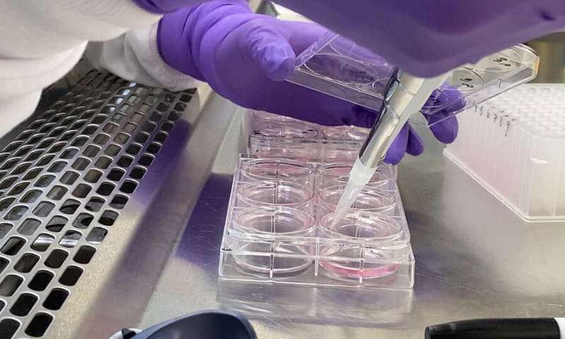 Immuneering uses a “disease-canceling” approach, analyzing gene expression data and using computational models to identify small-molecule compounds likely to bind to disease pathways and silence them. Credit: Immuneering Silencing gene expression to cure complex diseases