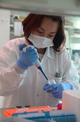 A SMART Antimicrobial Resistance Interdisciplinary Research Group scientist optimizes a prototype assay.