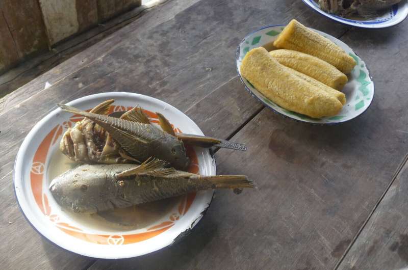 Traditional Shuar lunch items. Credit: Samuel Urlacher Changing diets -- not less physical activity -- may best explain childhood obesity crisis