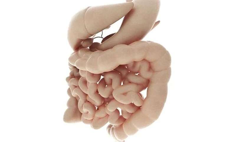 What you need to know about your colon cancer risk