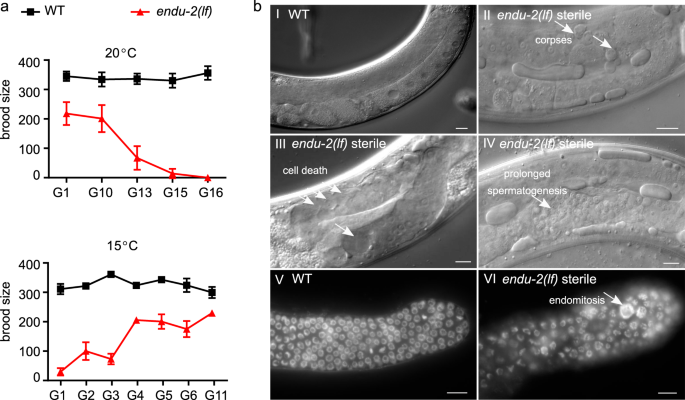 figure1