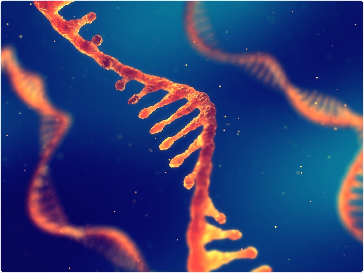 Study: A new generation of vaccines based on alphavirus self-amplifying RNA. Image Credit: nobeastsofierce / Shutterstock Study: A new generation of vaccines based on alphavirus self-amplifying RNA. Image Credit: nobeastsofierce / Shutterstock