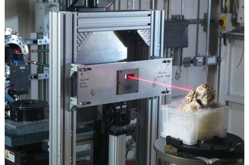 Little Foot Fossil skull in Diamond's beamline I12. Credit: Diamond Light Source Ltd New technology allows scientists first glimpse of intricate details of Little Foot's life
