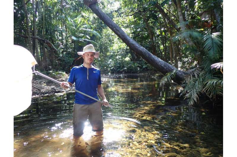 Catching insects in Australia. Credit: Peter T. Rühr Stoneflies: Youth influences adulthood