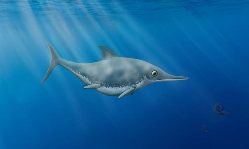 Illustration of Thalassodraco etchesi. Credit: Megan Jacobs Prehistoric 'sea dragon' discovered on English Channel Coast is identified as new species