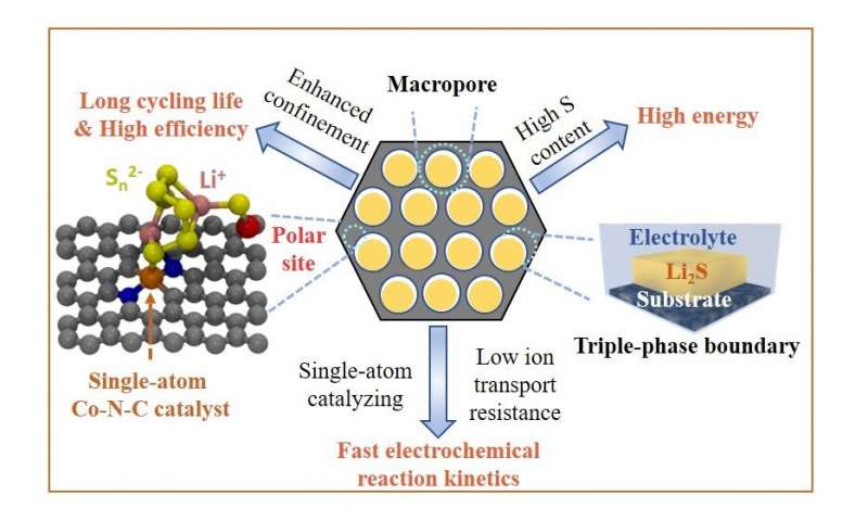 An all-in-one solution for the design strategy of macroporous host with double-end binding sites. Credit: HKUST Novel cathode design significantly improves performance of next-generation battery