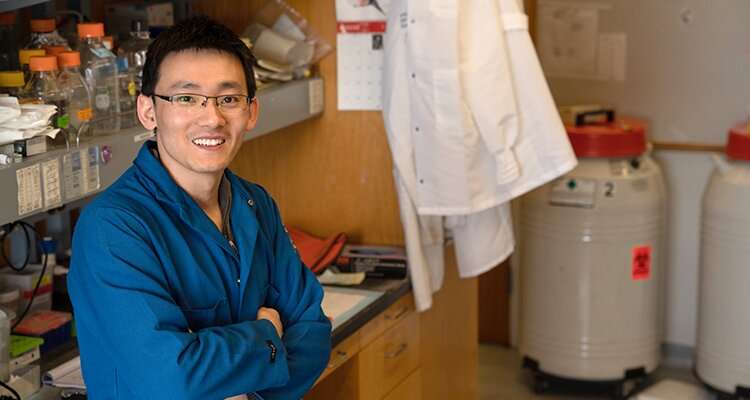 UCLA cancer researcher Rui Li. Credit: University of California, Los Angeles Researchers identify potential combination therapy for aggressive lung cancer