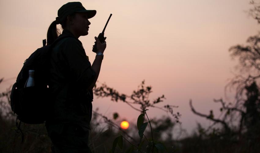 World Ranger Day