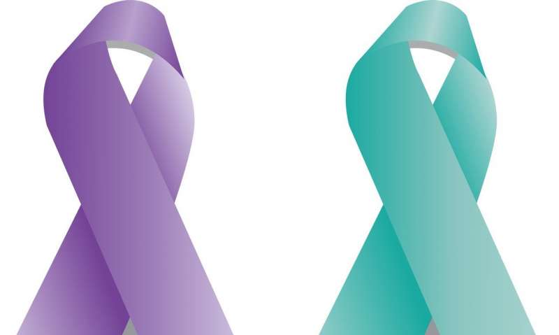 Credit: CC0 Public Domain ovarian cancer