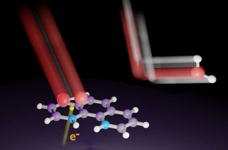Active nitrogen atoms in the carbon catalyst. Credit: University of Tsukuba Sustainable transportation: clearing the air on nitrogen doping