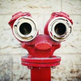 Why the brain is programmed to see faces in everyday objects
