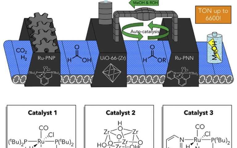 Credit: Frank Tsung Tandem catalytic system efficiently converts carbon dioxide to methanol