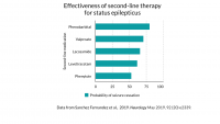 Newswise: When seizures don't stop: What's the latest in treating status epilepticus?