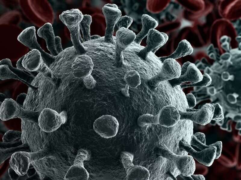 Wealthy nations need to do more to end global pandemic: fauci