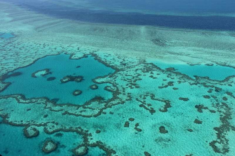 The Great Barrier Reef was worth an estimated $4 billion a year in tourism revenue for the Australian economy before the coronavirus pandemic. The Great Barrier Reef was worth an estimated $4 billion a year in tourism revenue for the Australian economy before the coronav