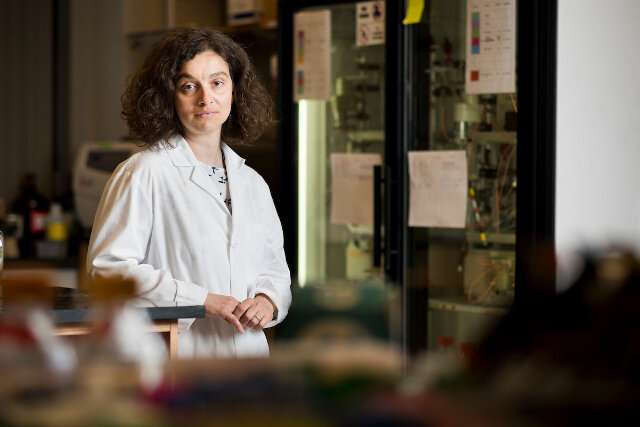 How viruses mutate and create new variants