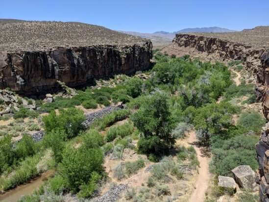 Lush vegetation follows the path of the Virgin River as it cuts like a green ribbon across the desert of Washington County, Utah. Credit: MARC MAYES Study uses remote sensing to monitor groundwater along river corridors in the Southwest