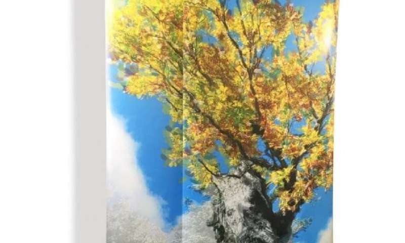 Portrait of Demeter, the oldest dated temperate tree in the world, by Mery Rigo, entitled “Demeter naturae monumentum, 2020 Credit: Mery Rigo Oldest radiocarbon dated temperate hardwood tree in the world discovered at the Aspromonte National Park, southern Italy
